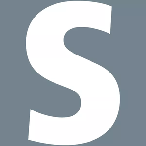 Silver GmbH Logo