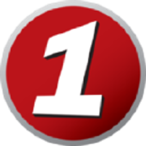 Punkt 1 Logo