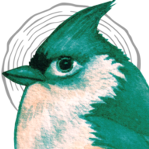 Utefugl.no Logo
