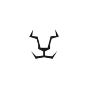 Lion-Gaming Logo