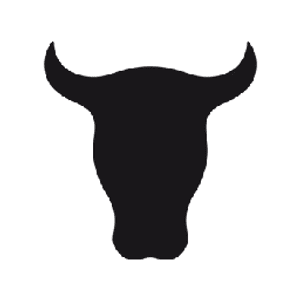 Torro Logo
