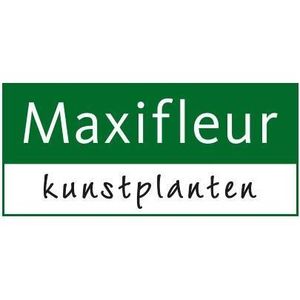 Maxifleur Plantas Artificiales Logotipo