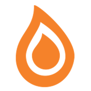 bioethanol-kamin-shop.de Logo
