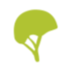 eCykelhjelm Logo