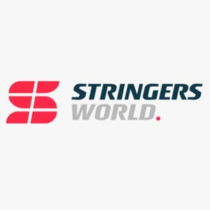 Stinger's World Logotype