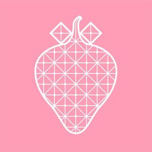 Strawberrynet Logotype