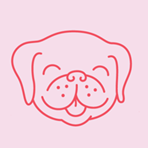 Buddypetfoods Logotyp