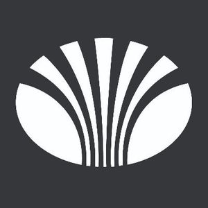 Daewoo Electricals Logotype