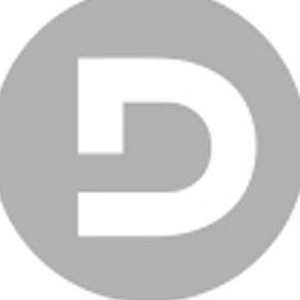 thediscdjstore.com Logotype
