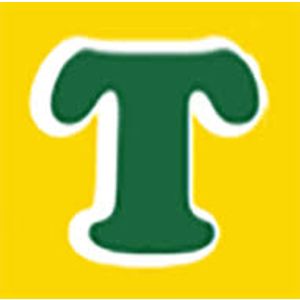 Tinneys Toys NI Logotype