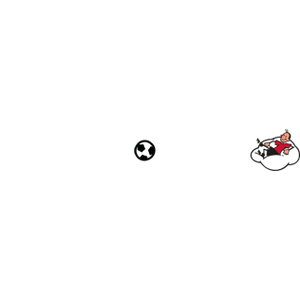 Fussballgott24 Logo