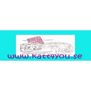 katt4you.se (KCO)(Native)