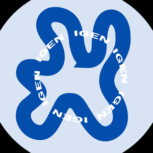 Igen Logo