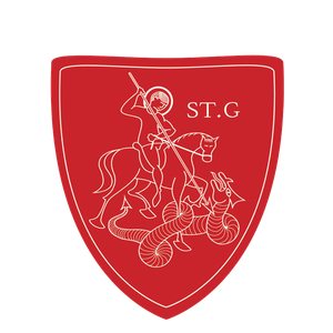 St George Security Store