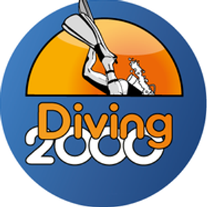Diving 2000 Logo
