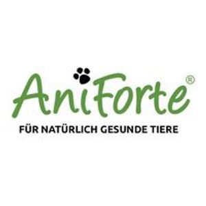 AniForte Logotype