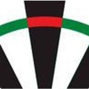 Dartshop.dk Logo