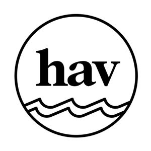 Havhøkeren