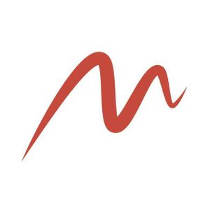 Mediawavestore España | L'Hospitalet de Llobregat Logotipo