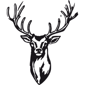 JAFI Logo