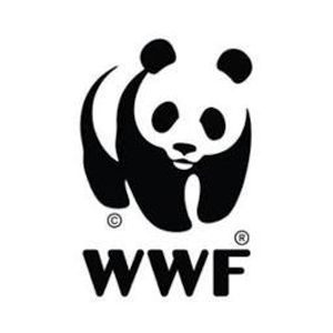 Wwf