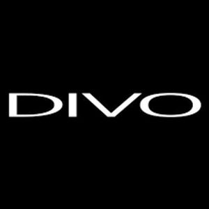 Divo boutique Logotipo