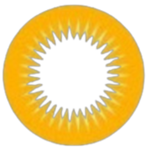 DinSolbrille
