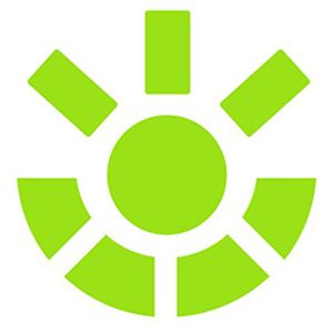 Lion-Energy Logo