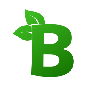 Bloom Logotype