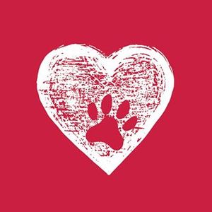 Revival Animal Health Logotype