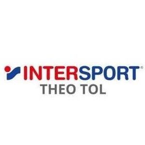 Intersport Theotol Logotype