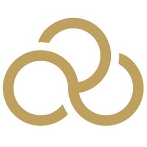 Bumprider Logotipo