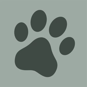 ActivePet