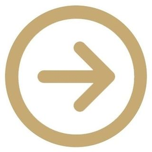 Skohorn.dk Logo