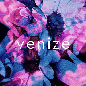 Venize Logo